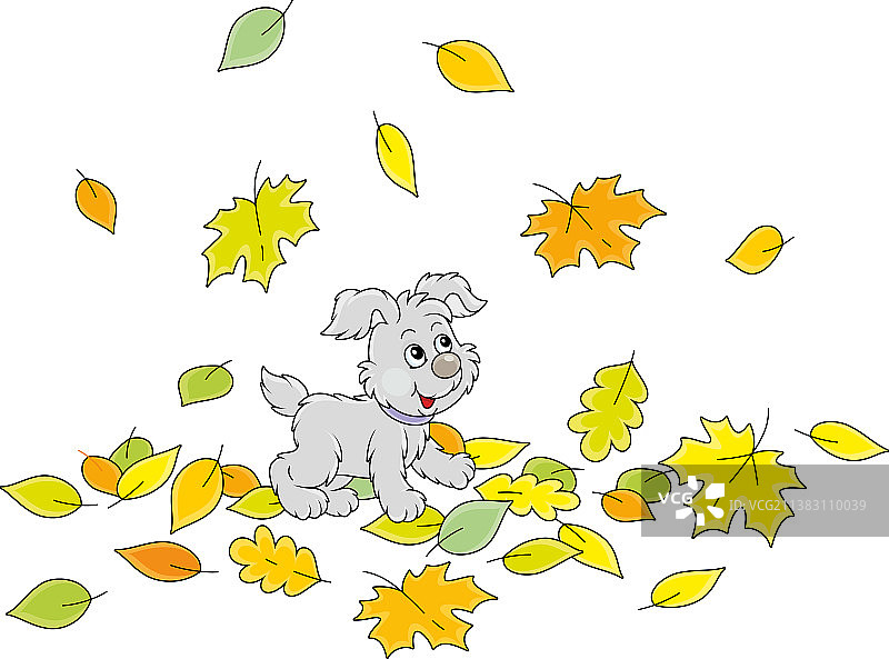 快乐的小狗走在秋叶上图片素材