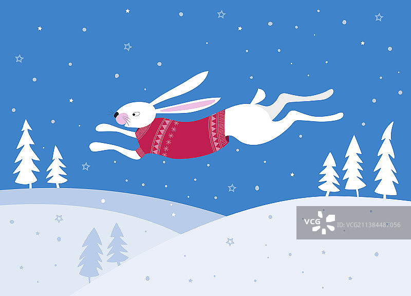 穿着红毛衣的小白兔在冬天跑步图片素材