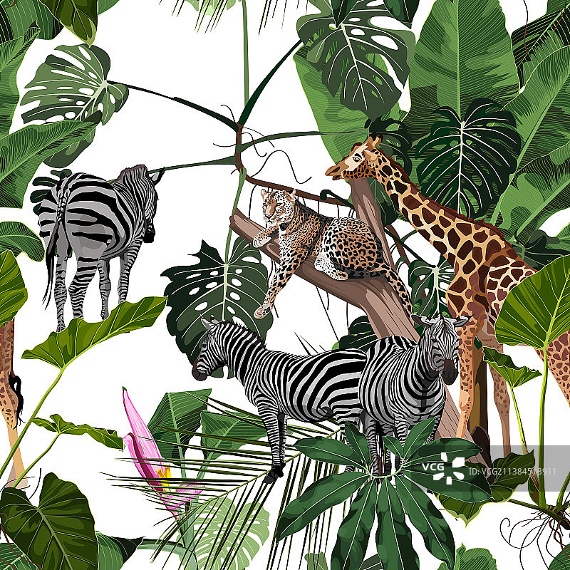 热带野生动物火烈鸟斑马长颈鹿图片素材