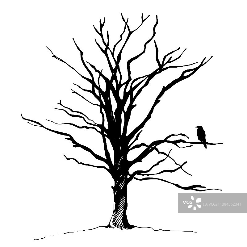 树和鸟乌鸦的剪影手绘图片素材