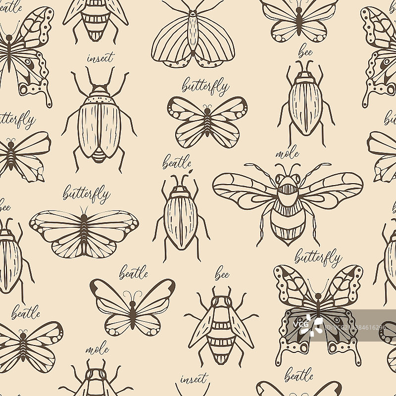 无缝图案与昆虫甲虫蜂虫图片素材