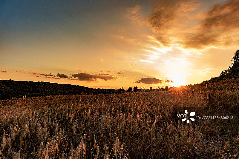 波兰，日落时，田野对着天空的风景图片素材