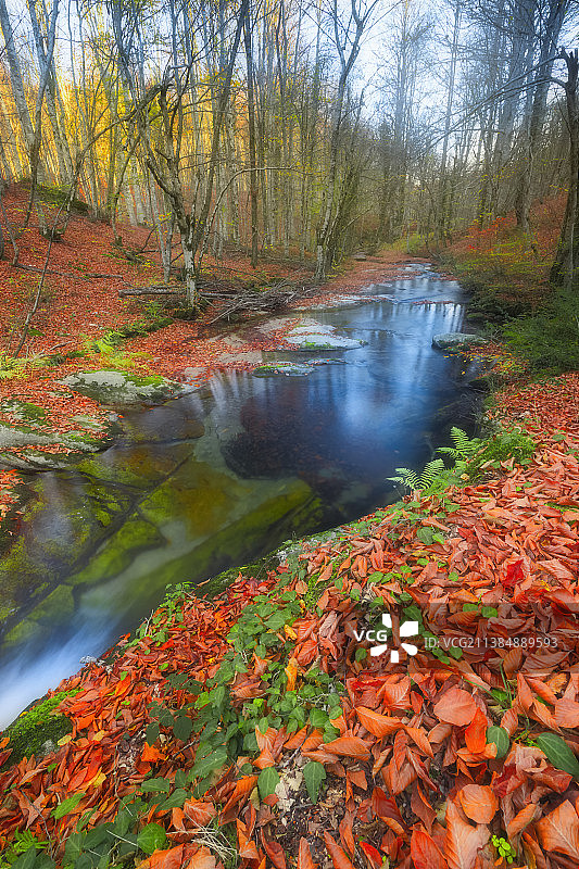 秋天林间溪流的景色图片素材