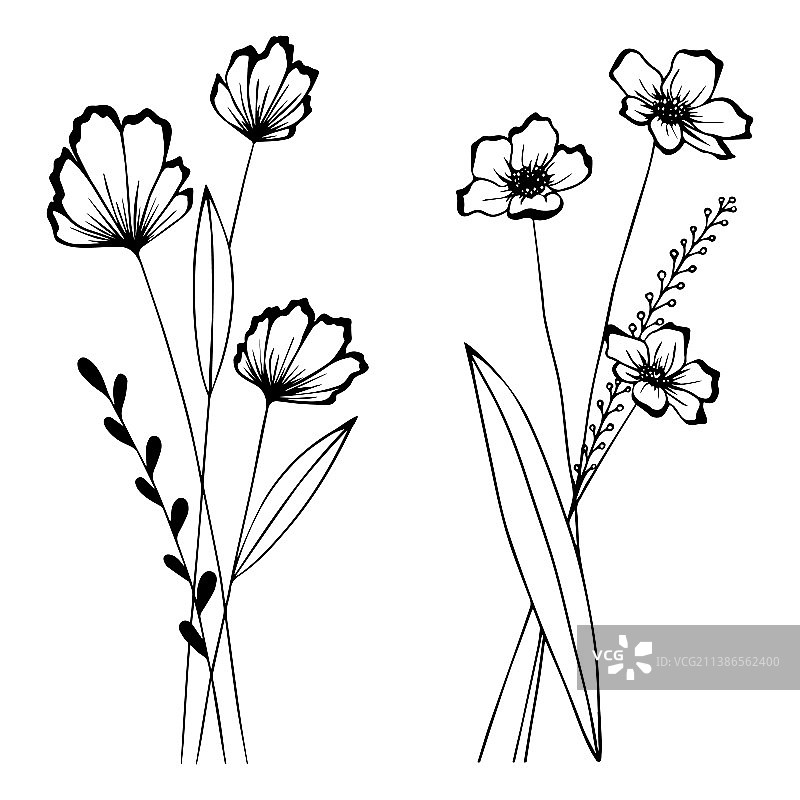 简单的花朵和黑色的叶子手绘图片素材