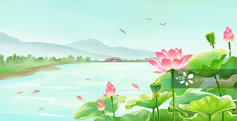 夏季户外湖水莲花风景图片素材