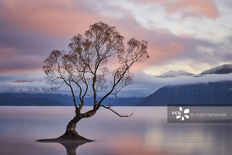 新西兰瓦纳卡，日落时湖面对着天空的风景图片素材