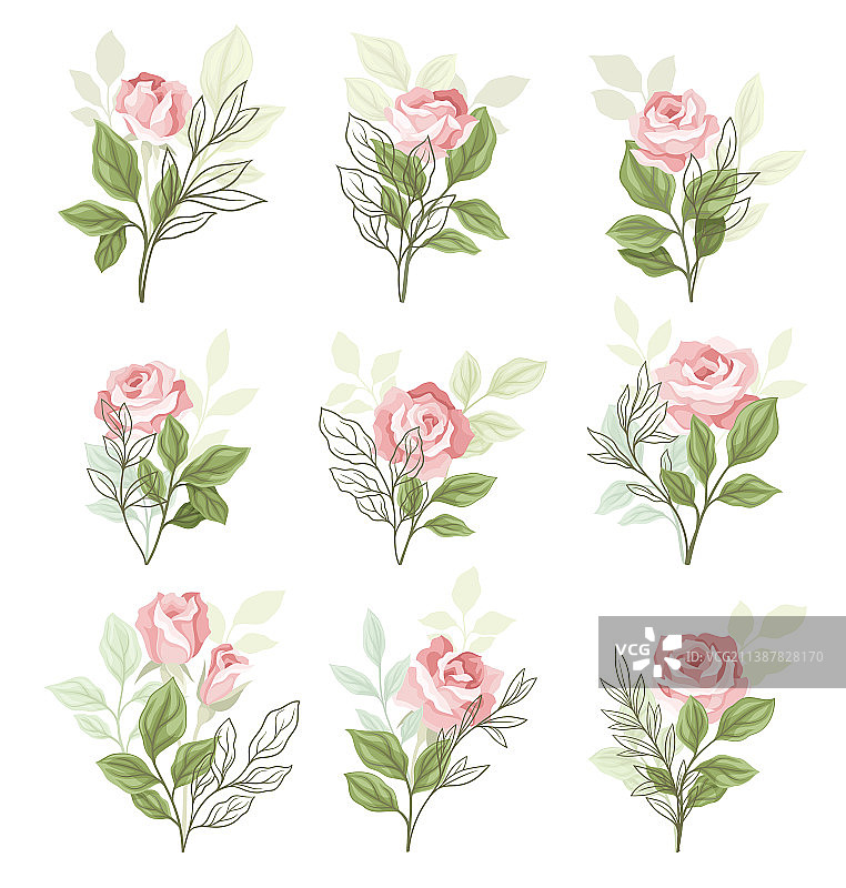 美丽的粉红色玫瑰开花茎与绿色图片素材