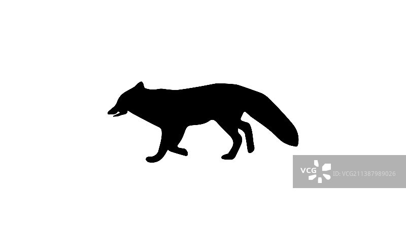 黑色剪影的狐狸设计图片素材