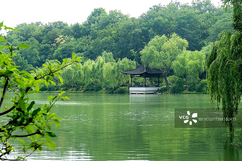 夏日扬州瘦西湖长堤春柳小景图片素材
