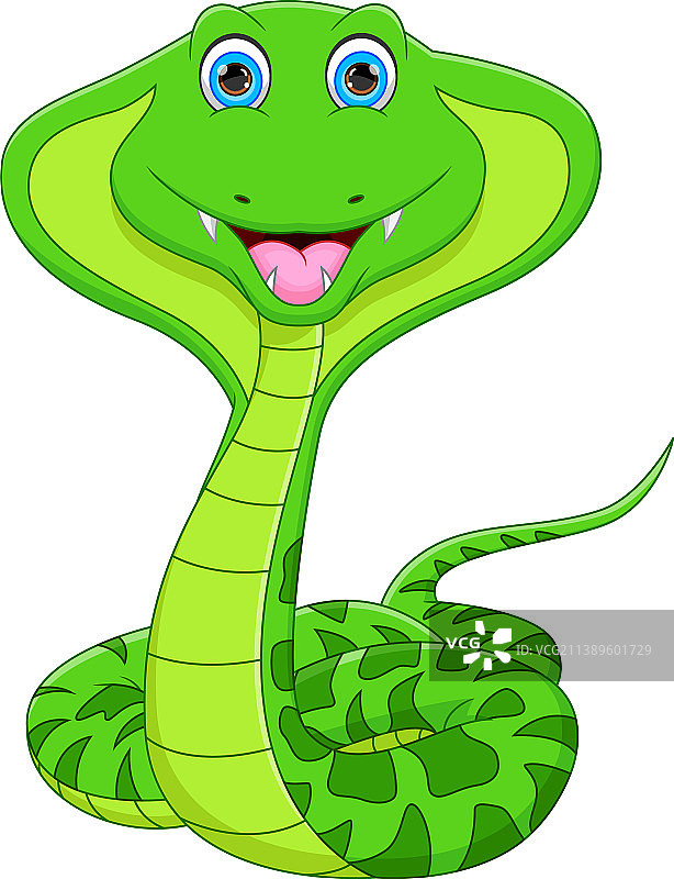 卡通可爱的眼镜蛇在白色的背景图片素材