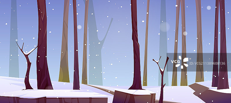 冬天的森林景观有白色的雪图片素材
