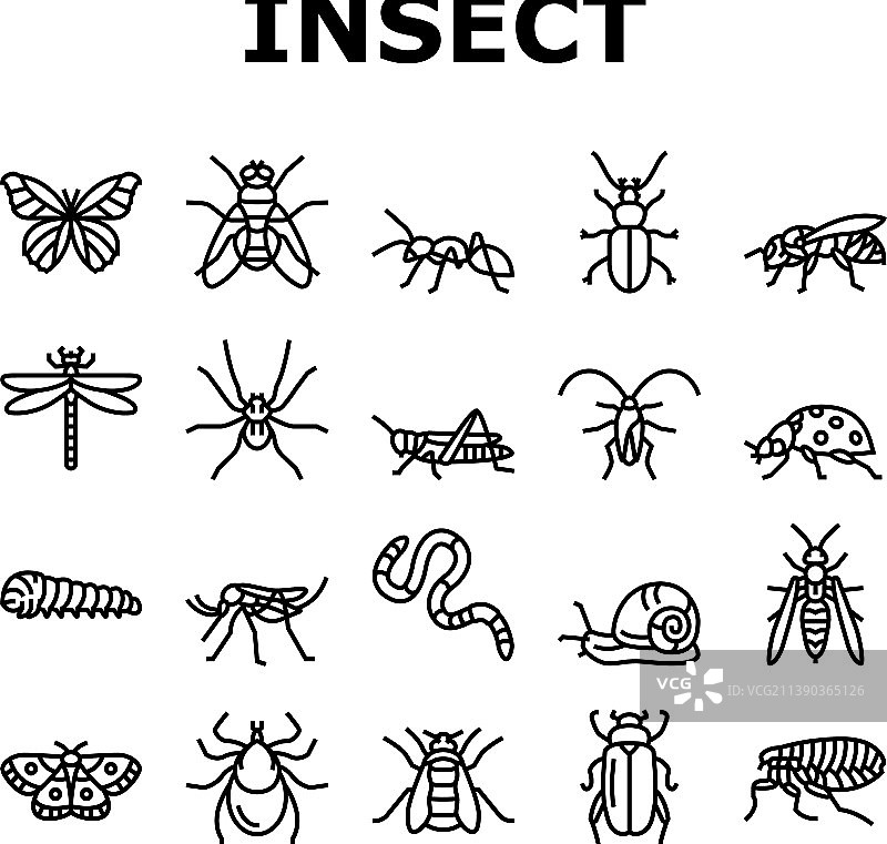 昆虫蜘蛛和昆虫野生动物图标设置图片素材