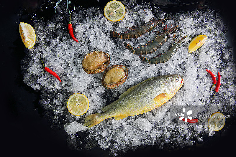 冰冻海鲜鱼类贝类海产海螺图片素材