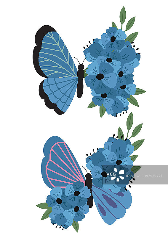 蓝色的装饰蝴蝶和花朵图片素材