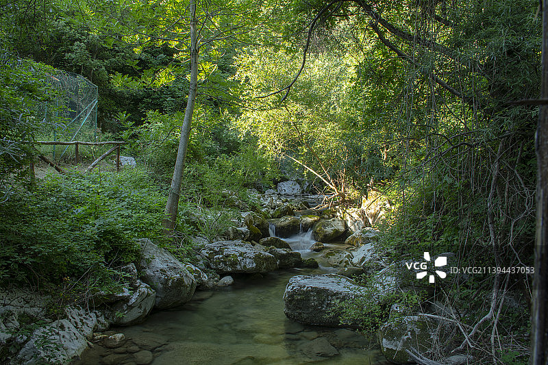 风景如画的河流在森林的树木，坎波皇帝，意大利图片素材