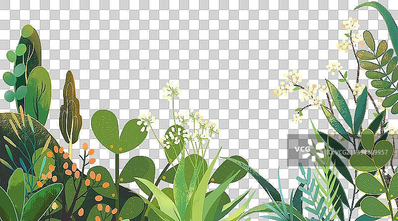 植物边框图片素材