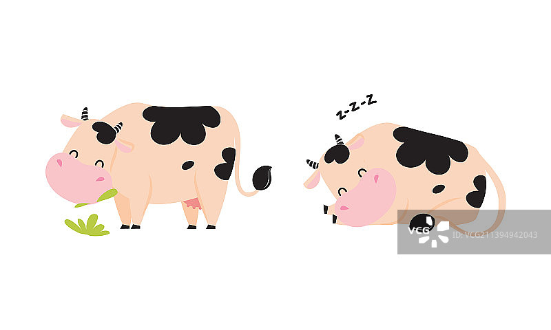 可爱的牛带着蹄子打鼾，睡觉，吃草图片素材
