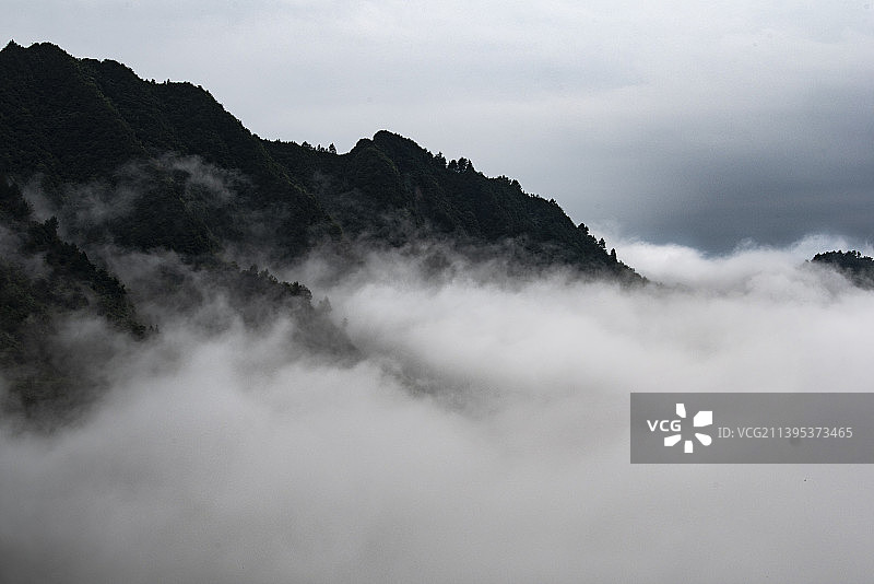 重庆万盛黑山谷浓雾笼罩的莽莽森林图片素材