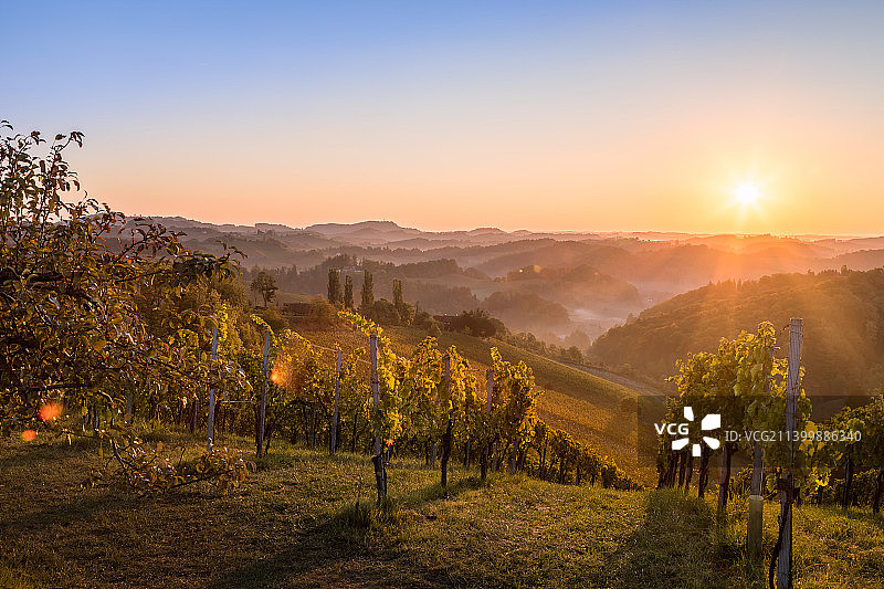 风景如画的葡萄园在日落时对着天空，奥地利图片素材