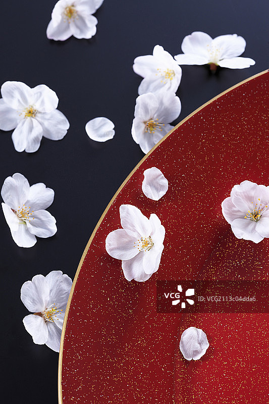 cherry blossom图片素材