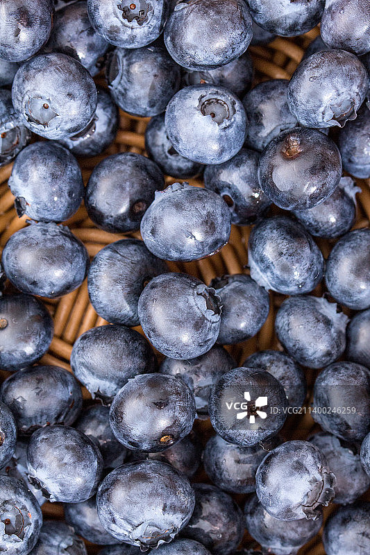 新鲜饱满的蓝莓浆果图片素材