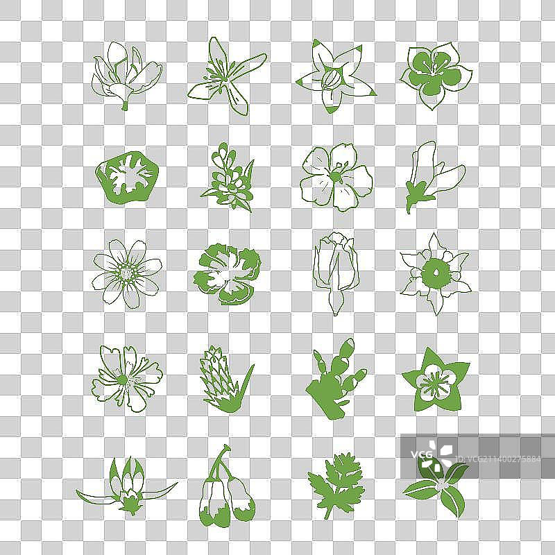 20种花草中药植物简笔画图标设计1图片素材