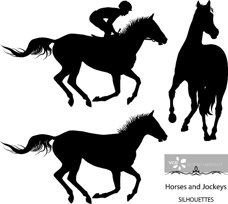 纯种赛马，骑师为黑色图片素材