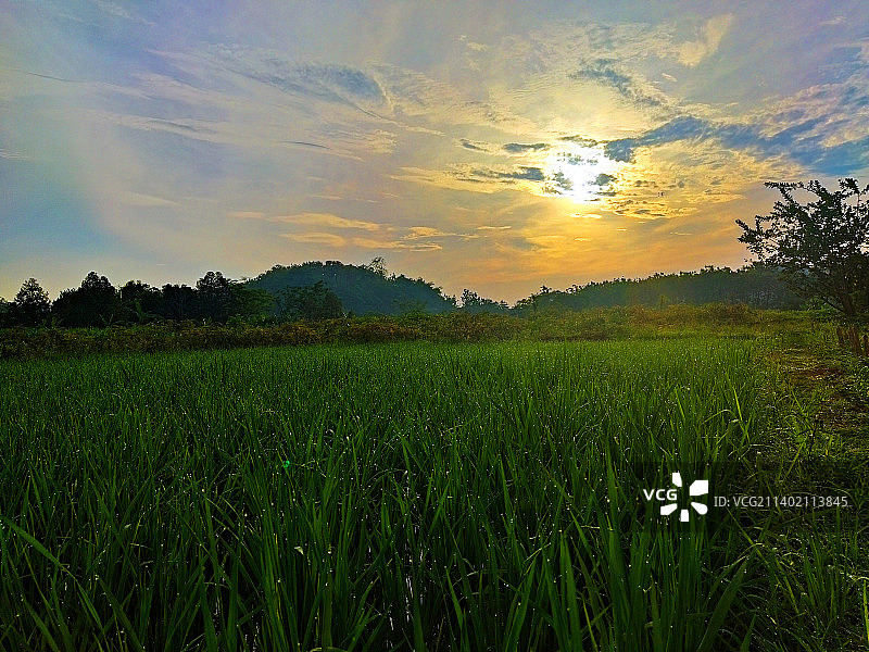 日落时，天空映衬下的农田风景图片素材
