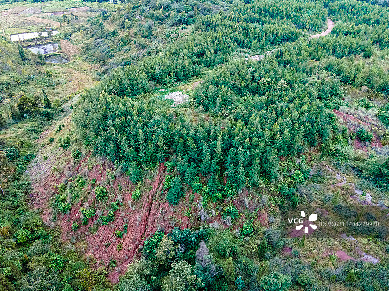 昆明安宁生态森林风光图片素材