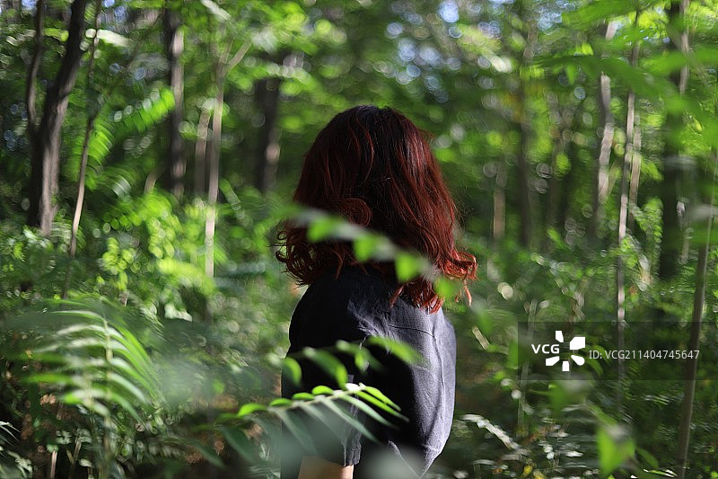 伊朗赞詹省，一位站在森林中的妇女的后视图图片素材