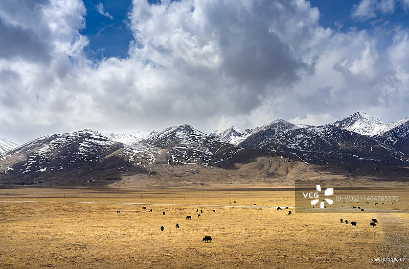美丽的藏北草原--青藏铁路沿线风光图片素材