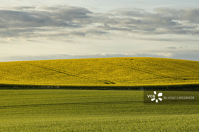 丹麦霍森斯，天空映衬下的田野风景图片素材