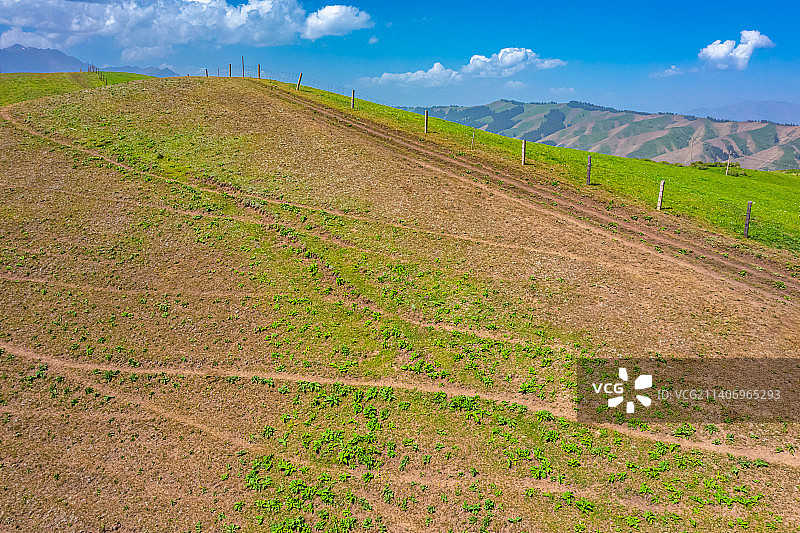 航拍：新疆阿贡盖提草原  蓝天白云牧场图片素材