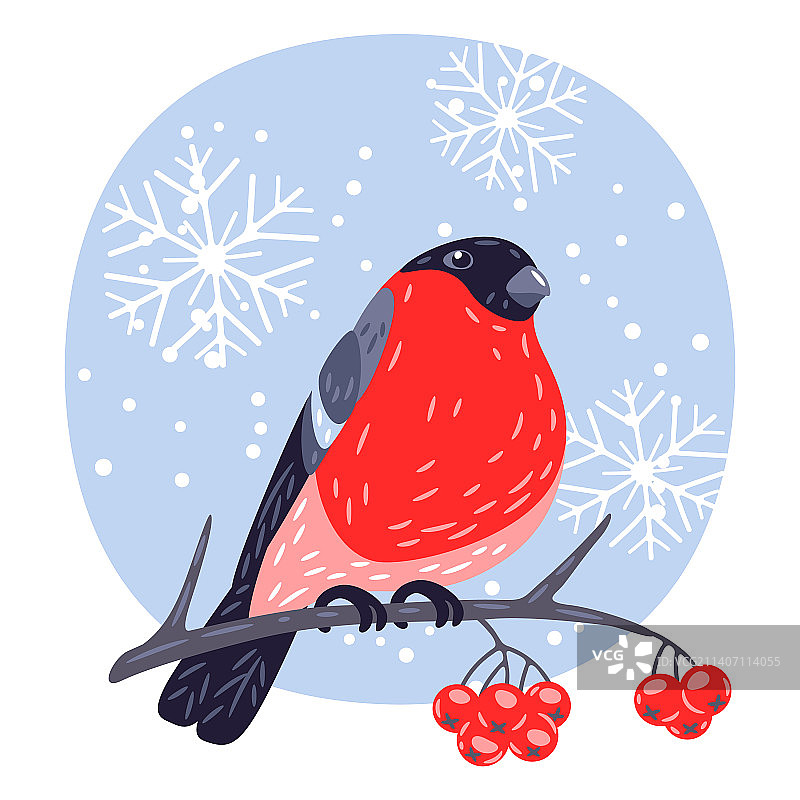 红腹灰雀和山雀的冬天图片素材
