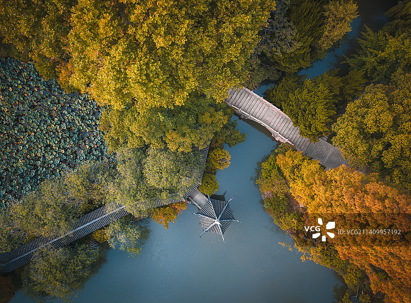 航拍上海醉白池秋季自然风光图片素材
