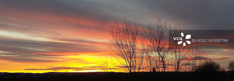 夕阳下植物的剪影映衬着引人注目的天空，爱达荷州，美国图片素材