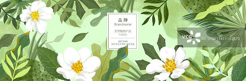 一款茶/树/花植物主题的设计模版，适用于香氛/日用品/茶叶包装等。图片素材