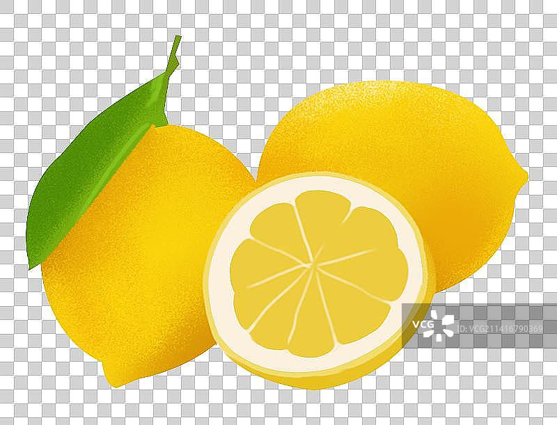 柠檬水果果实成熟美味味道食用食材食物元素插画图片素材