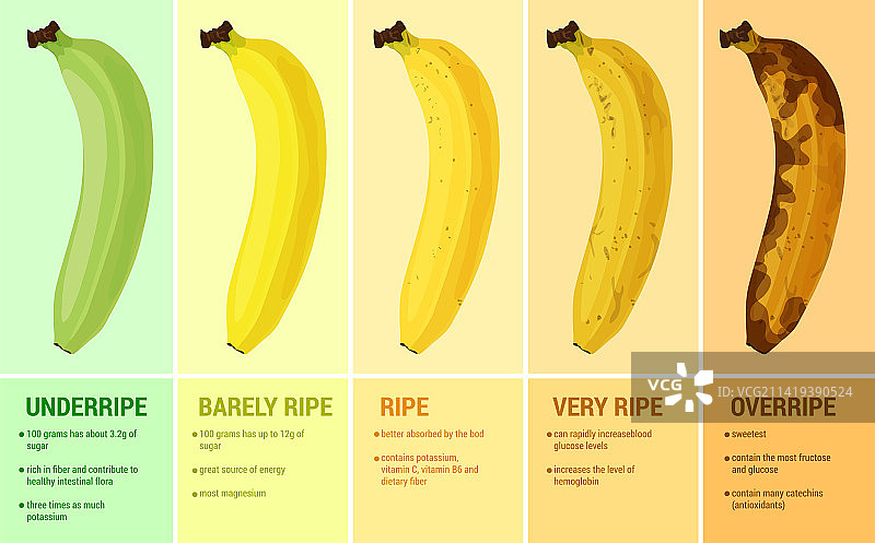 香蕉成熟成分设置图片素材