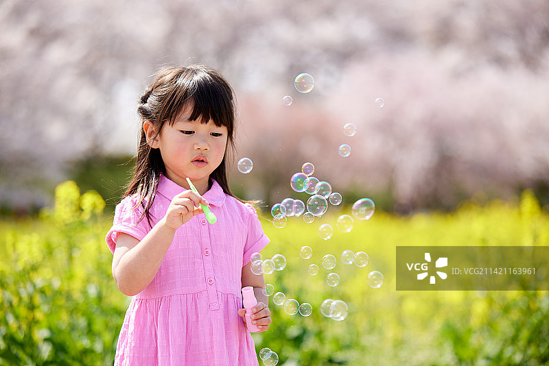 日本小孩肖像与盛开的樱花图片素材