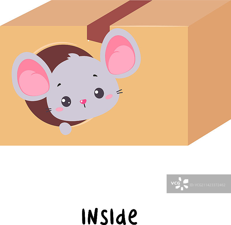 小老鼠坐在纸板箱里图片素材
