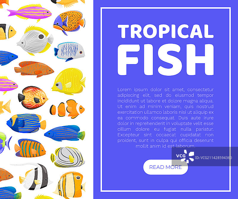 热带鱼横幅设计与游泳海洋图片素材