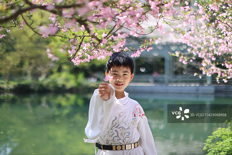 穿着汉服的小男孩站在公园海棠花树下图片素材