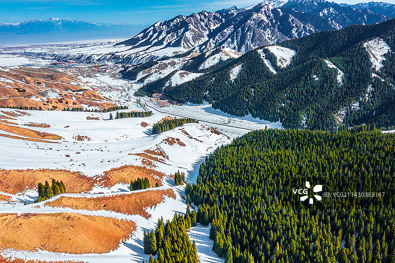 冬季 新疆天山 云杉 森林 雪山 草原图片素材