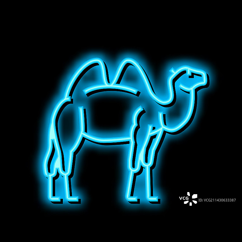 骆驼动物在动物园霓虹灯发光图标图片素材
