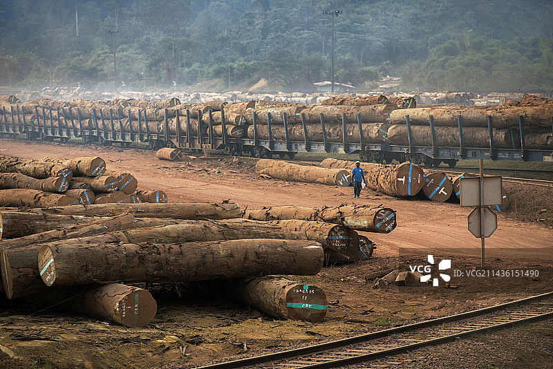 木材的开采(摩阿比、克瓦辛戈、乌木、?)用卡车将原木从原产地储存和运输到拉斯图斯维尔，然后通过Transgabones铁路公司继续运输到利伯维尔。加蓬。图片素材