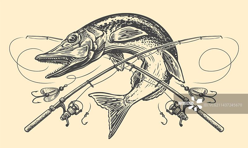 梭鱼交叉竿和钓具标志着钓鱼图片素材