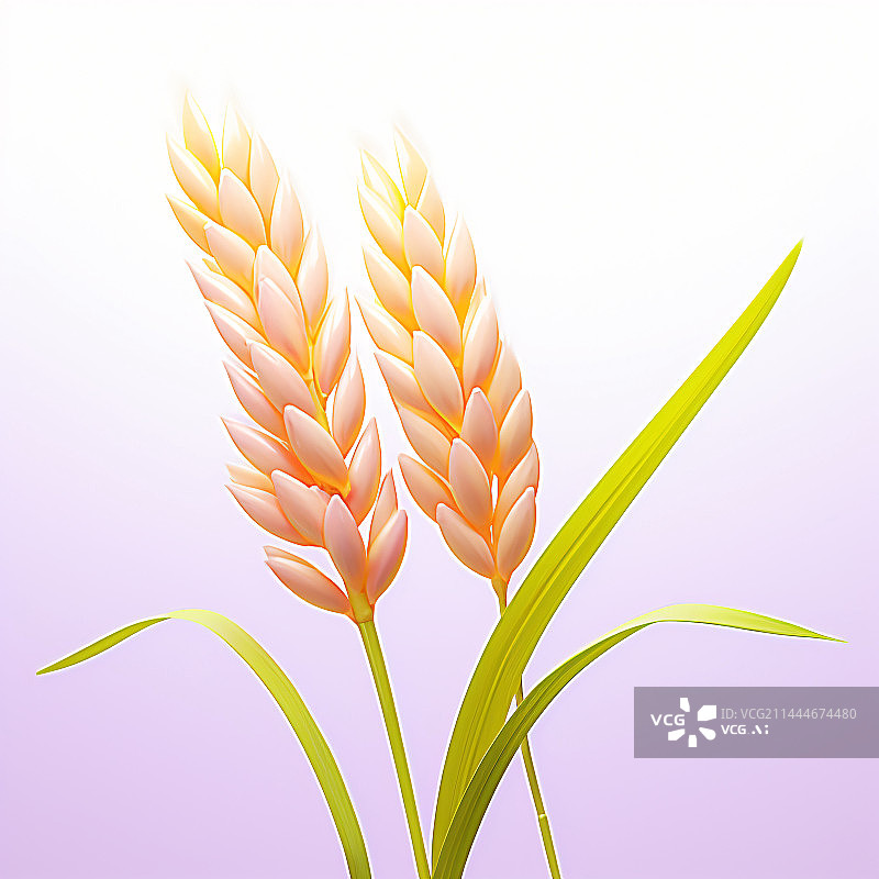 【AI数字艺术】秋天丰收的水稻，秋天粮食丰收插画图片素材