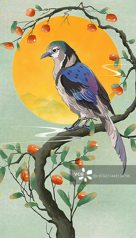 国潮风柿子树上的鸟印在满月中插画图片素材