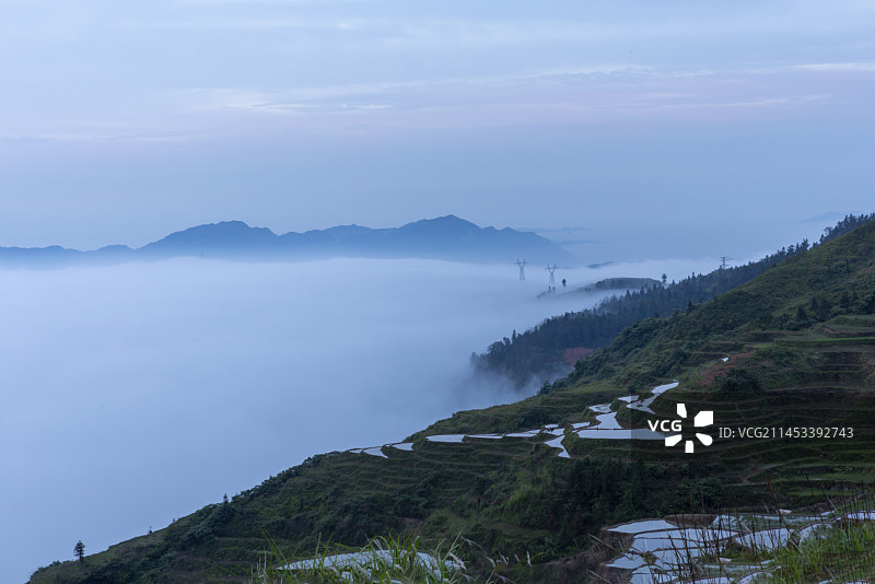 云雾缭绕的郑山梯田图片素材